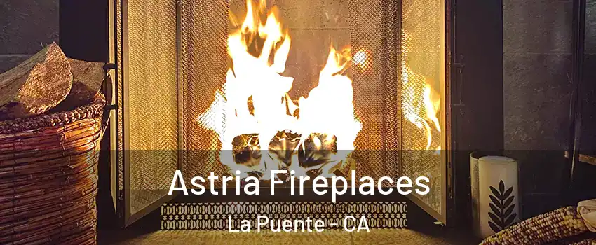  Astria Fireplaces La Puente - CA