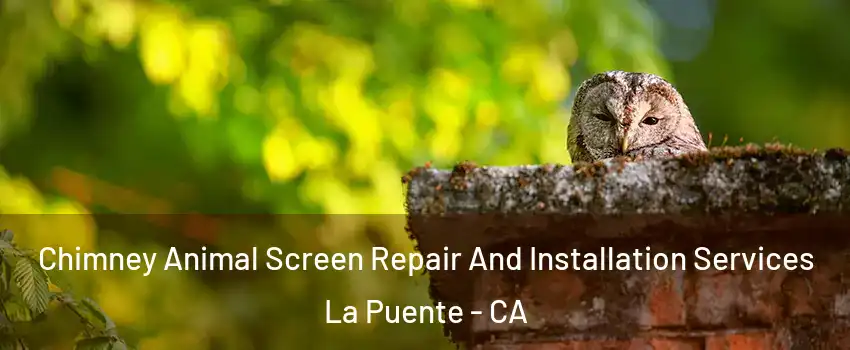  Chimney Animal Screen Repair And Installation Services La Puente - CA