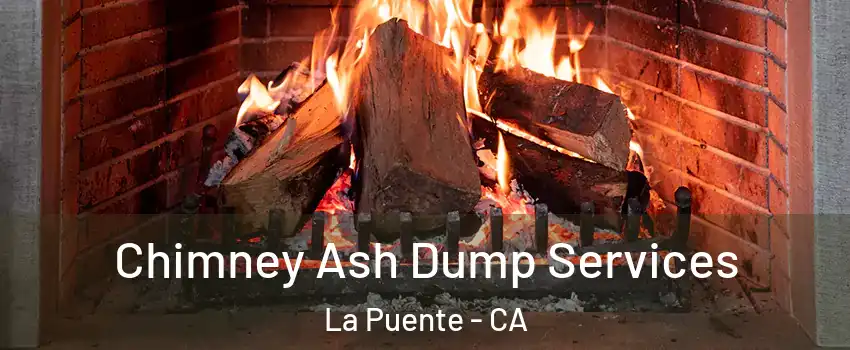  Chimney Ash Dump Services La Puente - CA