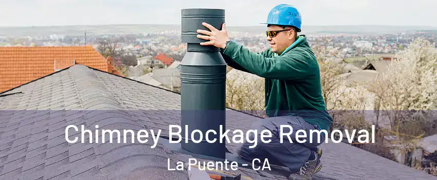  Chimney Blockage Removal La Puente - CA