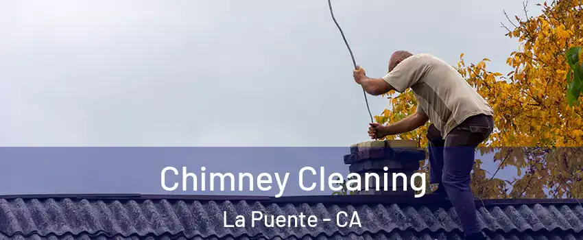  Chimney Cleaning La Puente - CA