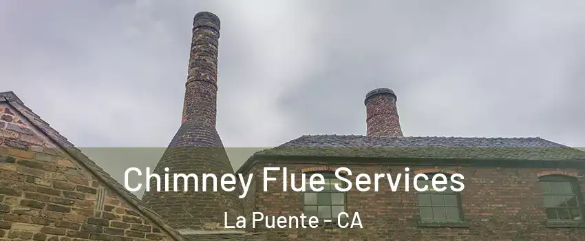 Chimney Flue Services La Puente - CA