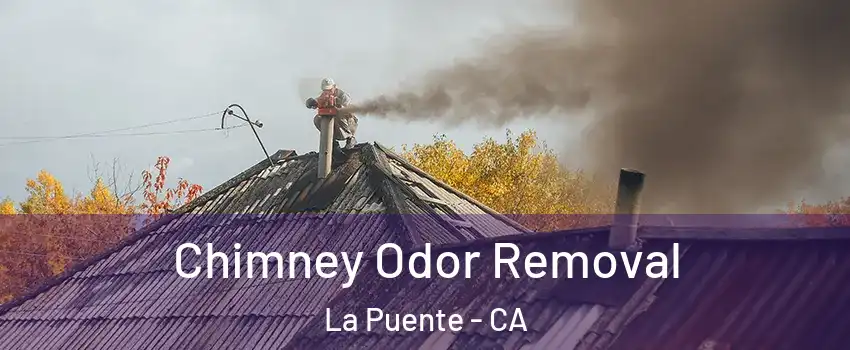  Chimney Odor Removal La Puente - CA