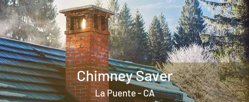  Chimney Saver La Puente - CA