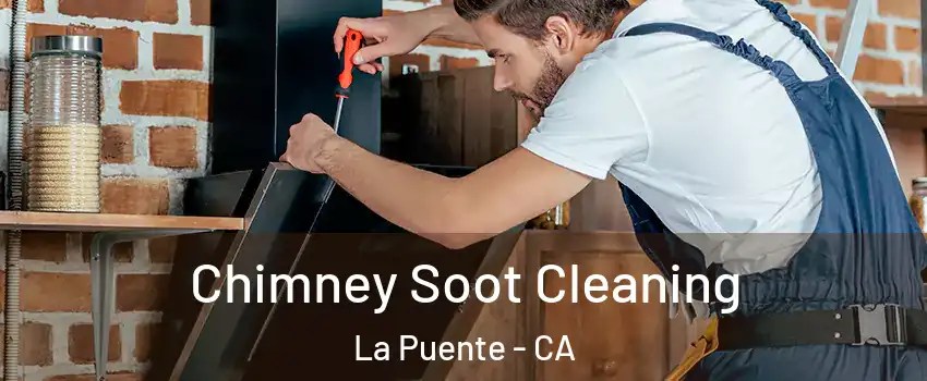  Chimney Soot Cleaning La Puente - CA