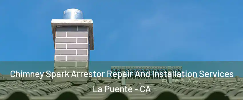  Chimney Spark Arrestor Repair And Installation Services La Puente - CA