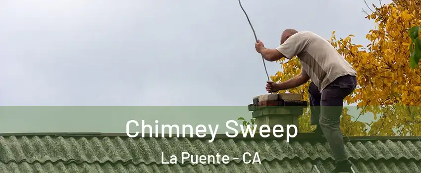  Chimney Sweep La Puente - CA