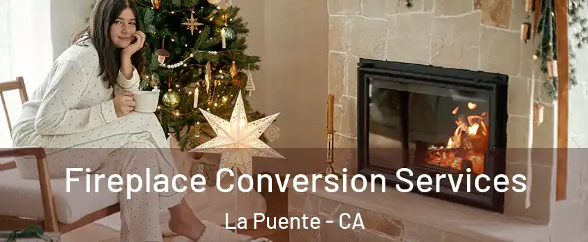  Fireplace Conversion Services La Puente - CA