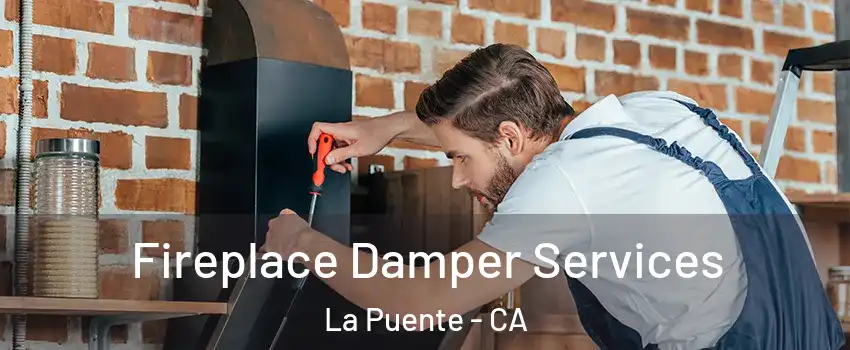  Fireplace Damper Services La Puente - CA