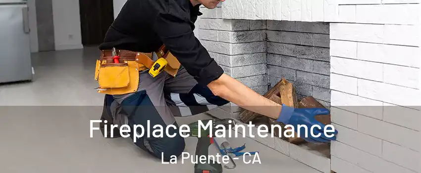  Fireplace Maintenance La Puente - CA