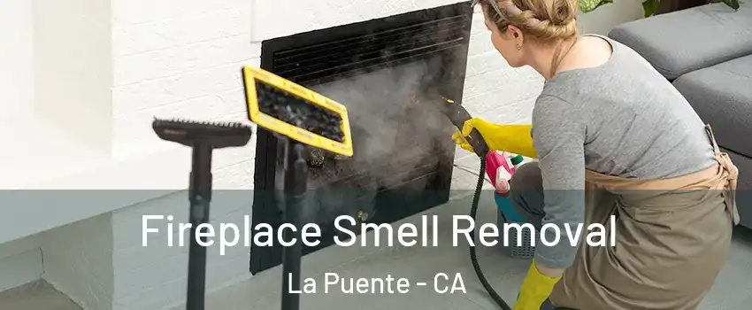  Fireplace Smell Removal La Puente - CA