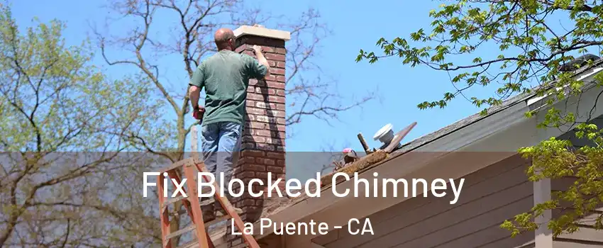  Fix Blocked Chimney La Puente - CA
