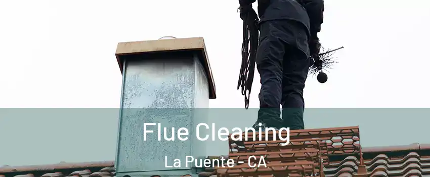  Flue Cleaning La Puente - CA