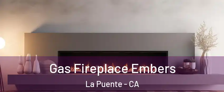  Gas Fireplace Embers La Puente - CA