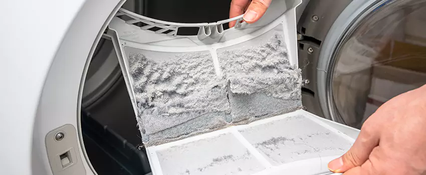 Best Dryer Lint Removal Company in La Puente, California