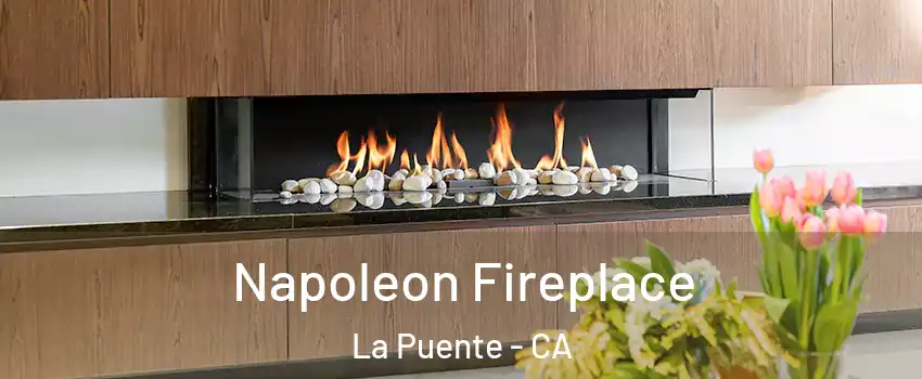  Napoleon Fireplace La Puente - CA
