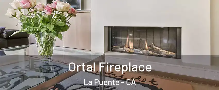 Ortal Fireplace La Puente - CA