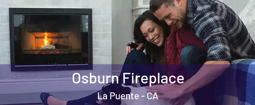  Osburn Fireplace La Puente - CA