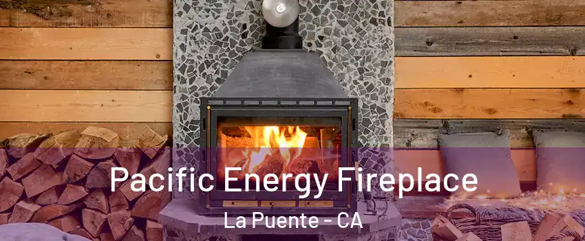  Pacific Energy Fireplace La Puente - CA