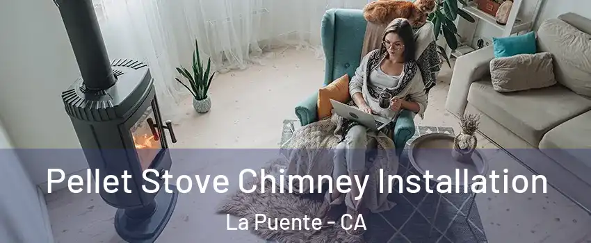  Pellet Stove Chimney Installation La Puente - CA